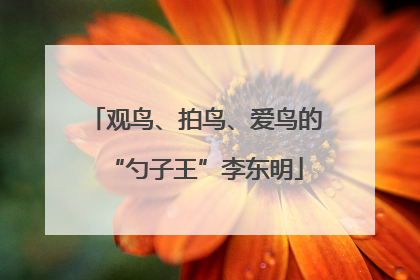 观鸟、拍鸟、爱鸟的“勺子王”李东明