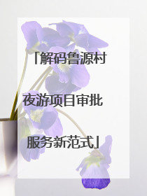 解码鲁源村夜游项目审批服务新范式
