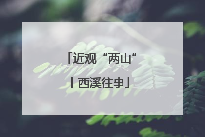 近观“两山”丨西溪往事