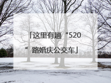 这里有趟“520”路婚庆公交车
