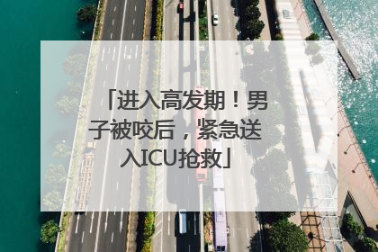 进入高发期！男子被咬后，紧急送入ICU抢救