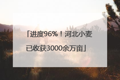 进度96%！河北小麦已收获3000余万亩