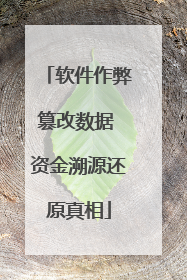 软件作弊篡改数据 资金溯源还原真相