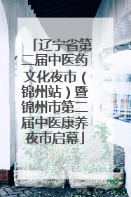 辽宁省第二届中医药文化夜市（锦州站）暨锦州市第二届中医康养夜市启幕