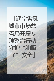 辽宁省凤城市市场监管局开展专项整治行动守护“油瓶子”安全