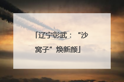 辽宁彰武：“沙窝子”焕新颜