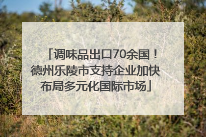 调味品出口70余国！德州乐陵市支持企业加快布局多元化国际市场