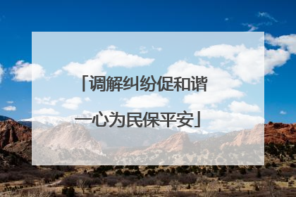 调解纠纷促和谐 一心为民保平安