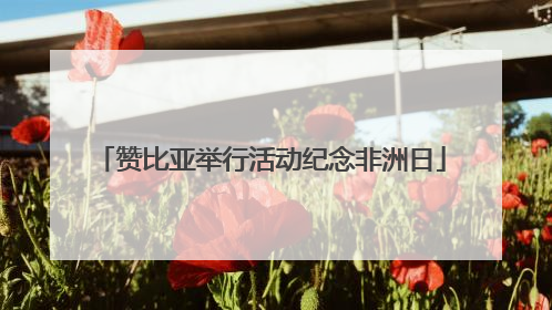 赞比亚举行活动纪念非洲日