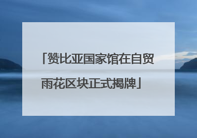 赞比亚国家馆在自贸雨花区块正式揭牌