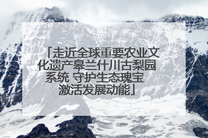 走近全球重要农业文化遗产皋兰什川古梨园系统 守护生态瑰宝 激活发展动能