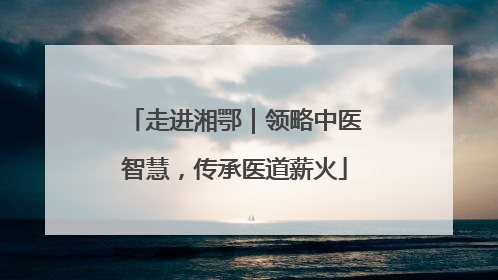 走进湘鄂｜领略中医智慧，传承医道薪火