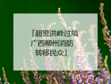 超警洪峰过境 广西柳州消防转移民众