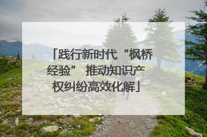 践行新时代“枫桥经验” 推动知识产权纠纷高效化解