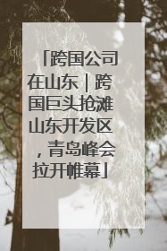 跨国公司在山东｜跨国巨头抢滩山东开发区，青岛峰会拉开帷幕