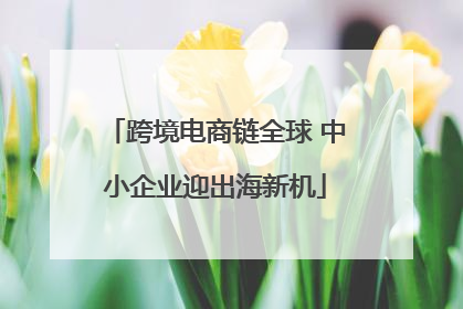 跨境电商链全球 中小企业迎出海新机