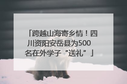 跨越山海寄乡情！四川资阳安岳县为500名在外学子“送礼”