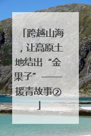 跨越山海，让高原土地结出“金果子”——援青故事②
