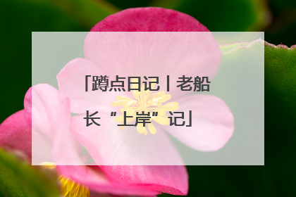 蹲点日记丨老船长“上岸”记