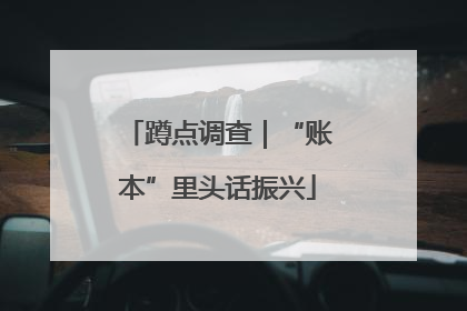 蹲点调查｜“账本”里头话振兴