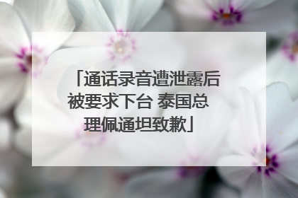 通话录音遭泄露后被要求下台 泰国总理佩通坦致歉