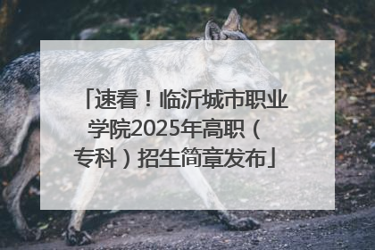 速看！临沂城市职业学院2025年高职（专科）招生简章发布