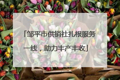 邹平市供销社扎根服务一线，助力丰产丰收