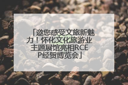 邀您感受文旅新魅力！怀化文化旅游业主题展馆亮相RCEP经贸博览会