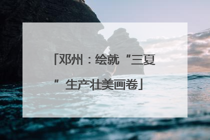 邓州：绘就“三夏”生产壮美画卷