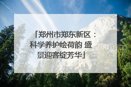郑州市郑东新区：科学养护绘荷韵 盛景迎客绽芳华