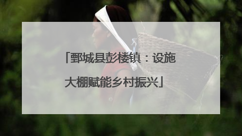 鄄城县彭楼镇：设施大棚赋能乡村振兴