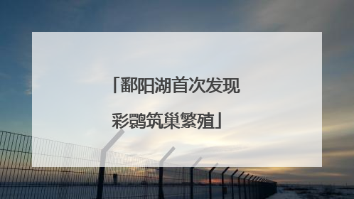 鄱阳湖首次发现彩鹮筑巢繁殖