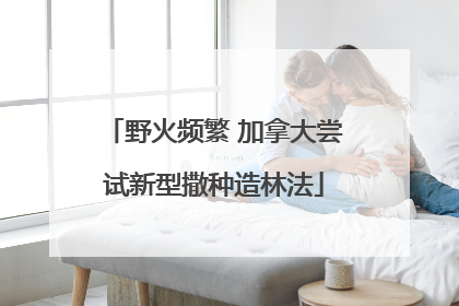 野火频繁 加拿大尝试新型撒种造林法