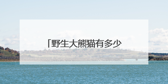 野生大熊猫有多少？种群如何分布？科研团队实地探秘