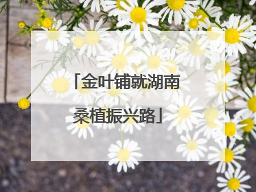 金叶铺就湖南桑植振兴路
