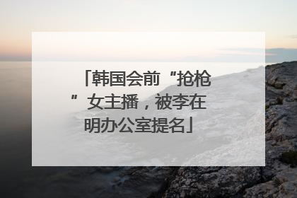 韩国会前“抢枪”女主播，被李在明办公室提名