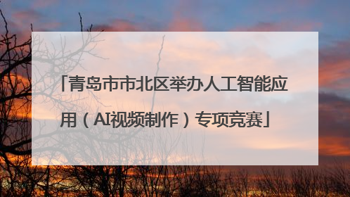 青岛市市北区举办人工智能应用（AI视频制作）专项竞赛