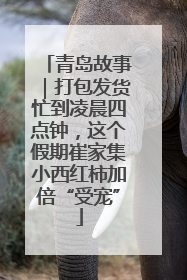 青岛故事｜打包发货忙到凌晨四点钟，这个假期崔家集小西红柿加倍“受宠”