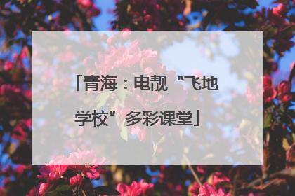 青海：电靓“飞地学校”多彩课堂