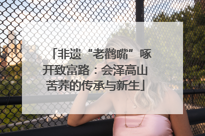非遗“老鹳嘴”啄开致富路：会泽高山苦荞的传承与新生