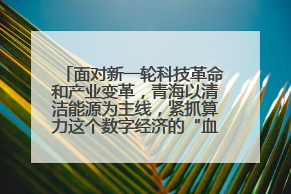 面对新一轮科技革命和产业变革，青海以清洁能源为主线，紧抓算力这个数字经济的“血液”、科技主权的“筹码”、产业升级的“杠杆”、绿色转型的“支点”，勇于撬动国家“双碳”战略、“东数西算”工程重大发展新机遇