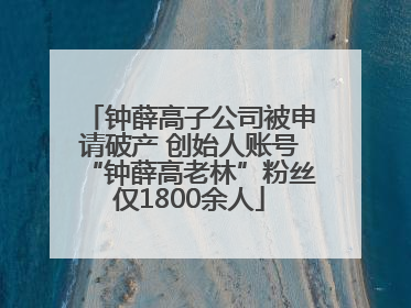 钟薛高子公司被申请破产 创始人账号“钟薛高老林”粉丝仅1800余人
