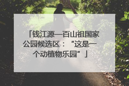 钱江源—百山祖国家公园候选区：“这是一个动植物乐园”