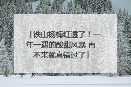 铁山杨梅红透了！一年一遇的酸甜风暴 再不来就真错过了