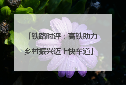 铁路时评:高铁助力乡村振兴迈上快车道