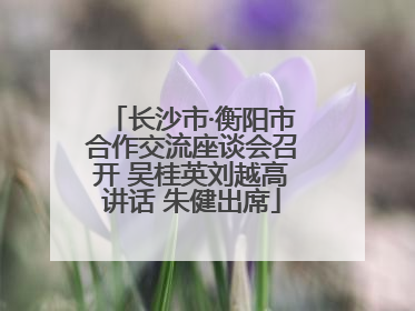 长沙市·衡阳市合作交流座谈会召开 吴桂英刘越高讲话 朱健出席