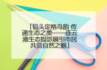 镜头定格鸟韵 传递生态之美——连云港生态摄影展引市民共赏自然之魅