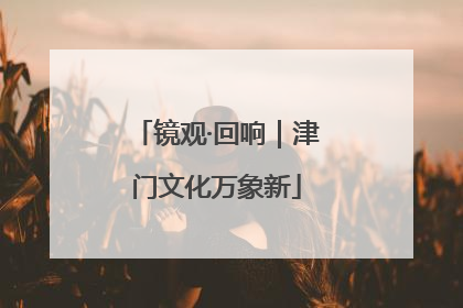 镜观·回响｜津门文化万象新