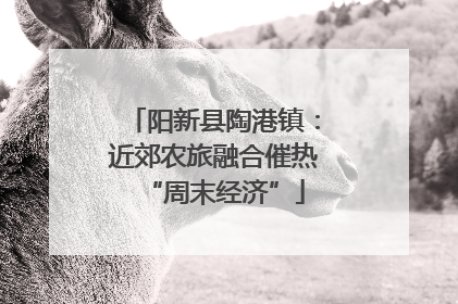 阳新县陶港镇：近郊农旅融合催热“周末经济”