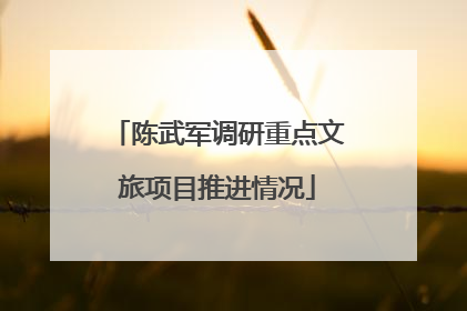 陈武军调研重点文旅项目推进情况